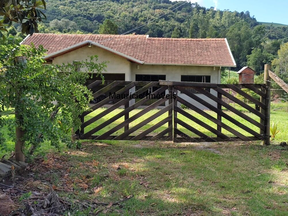 Sítio, 3 quartos, 8077 m² - Foto 4