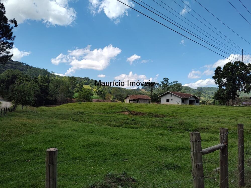 Sítio, 3 quartos, 8077 m² - Foto 9