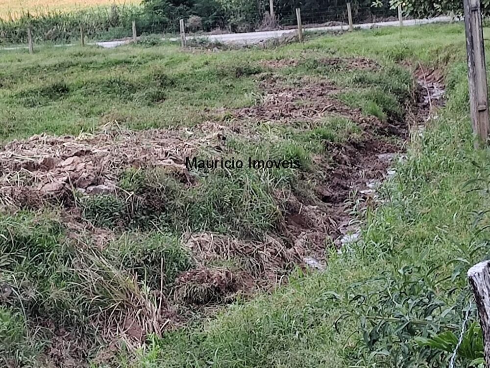 Sítio, 3 quartos, 8077 m² - Foto 17