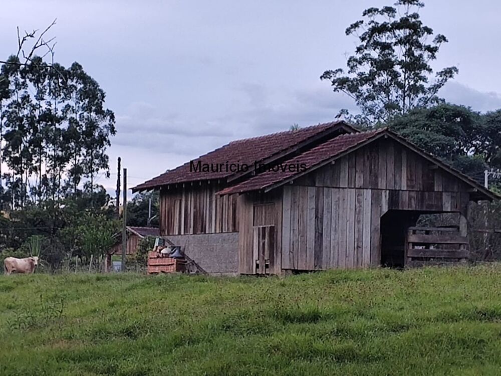 Sítio, 3 quartos, 8077 m² - Foto 23