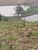 Sítio, 3 quartos, 4 hectares - Foto 4