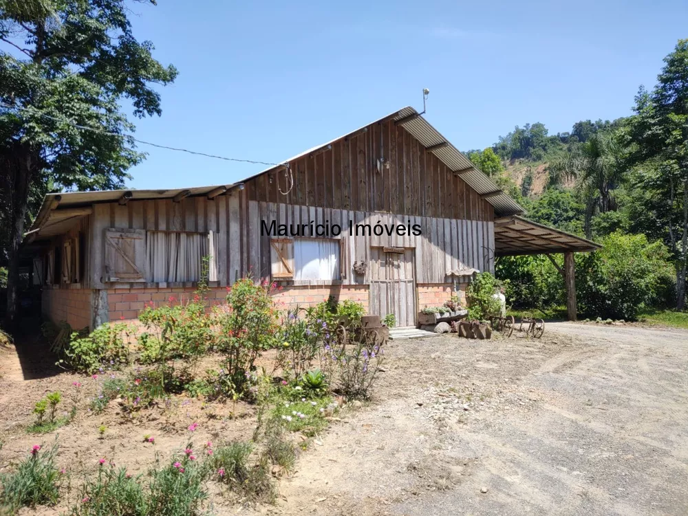 Fazenda à venda com 3 quartos, 30000m² - Foto 4