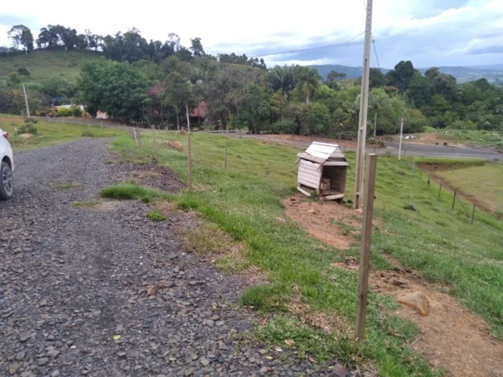 Sítio à venda com 2 quartos, 80m² - Foto 4