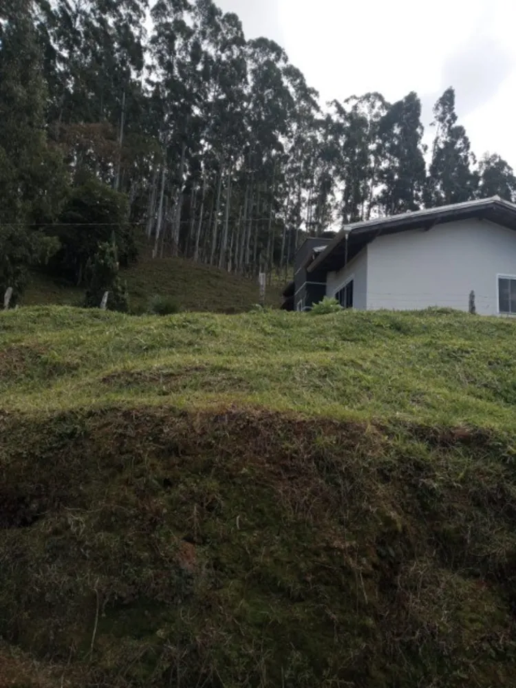 Sítio, 3 quartos, 45 m² - Foto 1