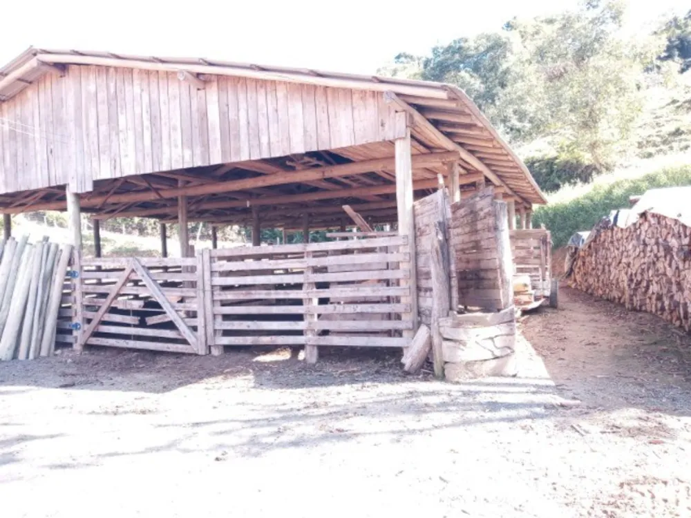 Sítio, 3 quartos, 45 m² - Foto 2