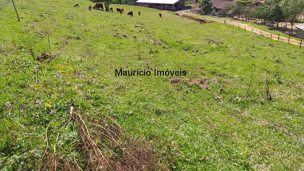 Sítio, 3 quartos, 21 m² - Foto 2