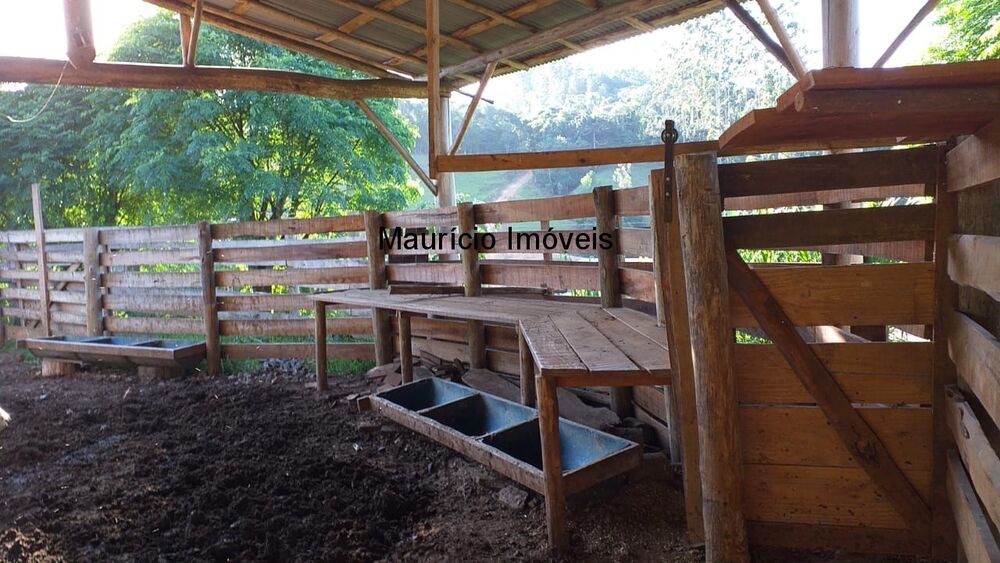 Sítio, 3 quartos, 21 m² - Foto 2