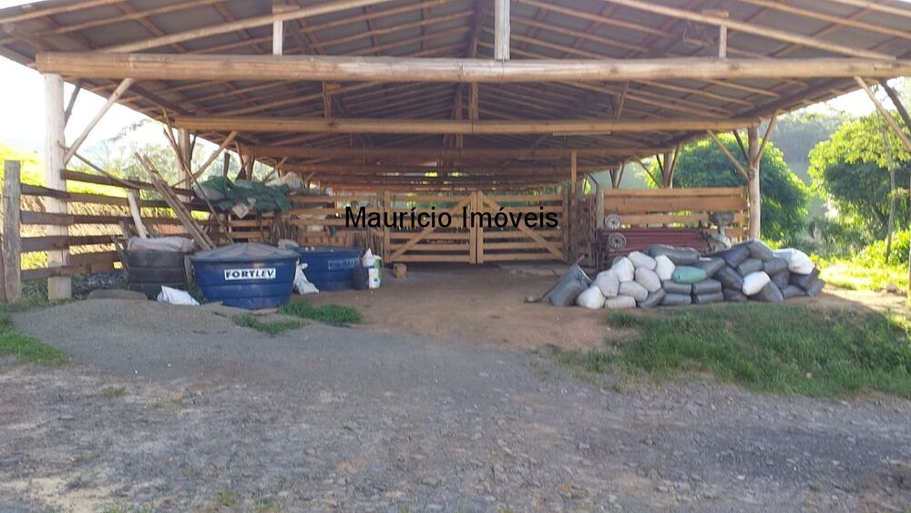 Sítio, 3 quartos, 21 m² - Foto 1