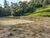 Sítio, 2 quartos, 2 hectares - Foto 19