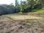 Sítio, 2 quartos, 2 hectares - Foto 18