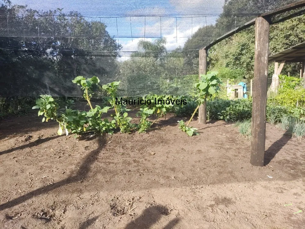 Sítio, 2 quartos, 3 m² - Foto 12