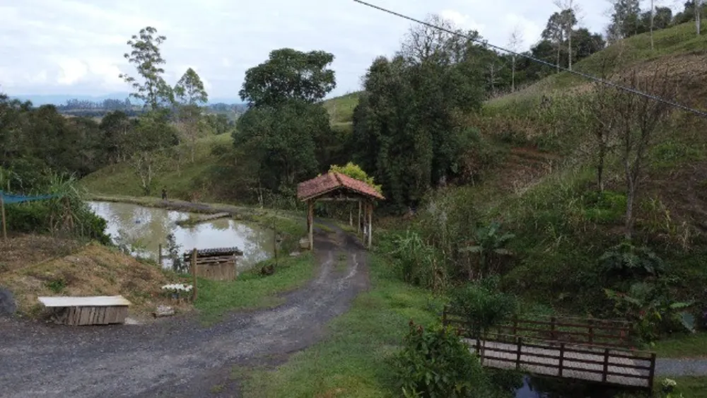 Chácara, 4 quartos, 3 hectares - Foto 6