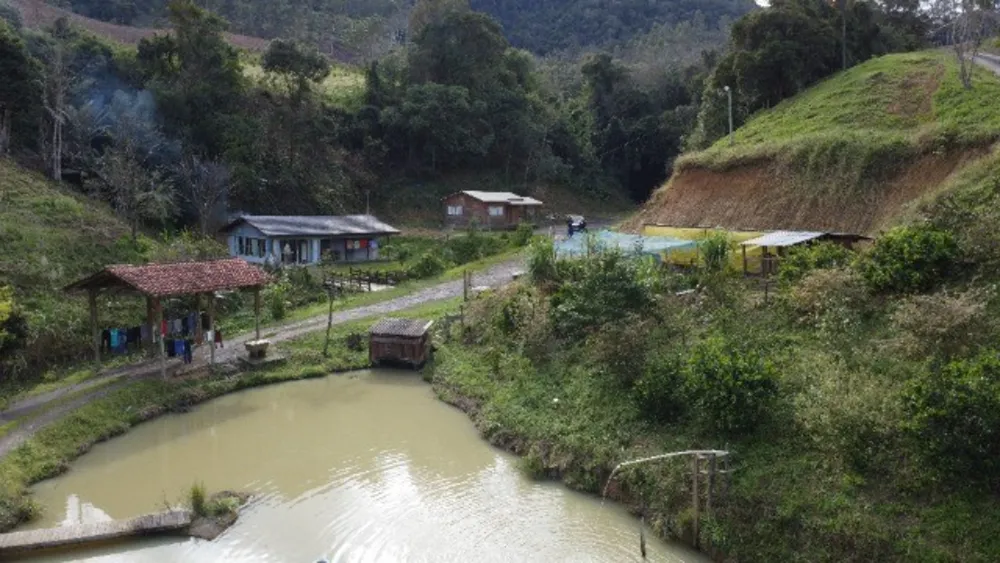 Chácara, 4 quartos, 3 hectares - Foto 10