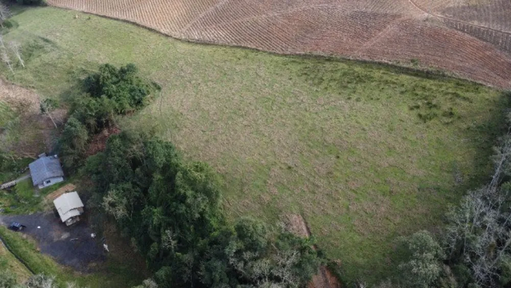 Chácara, 4 quartos, 3 hectares - Foto 11