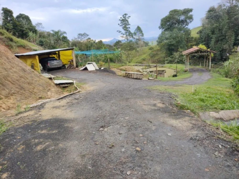 Chácara, 4 quartos, 3 hectares - Foto 3
