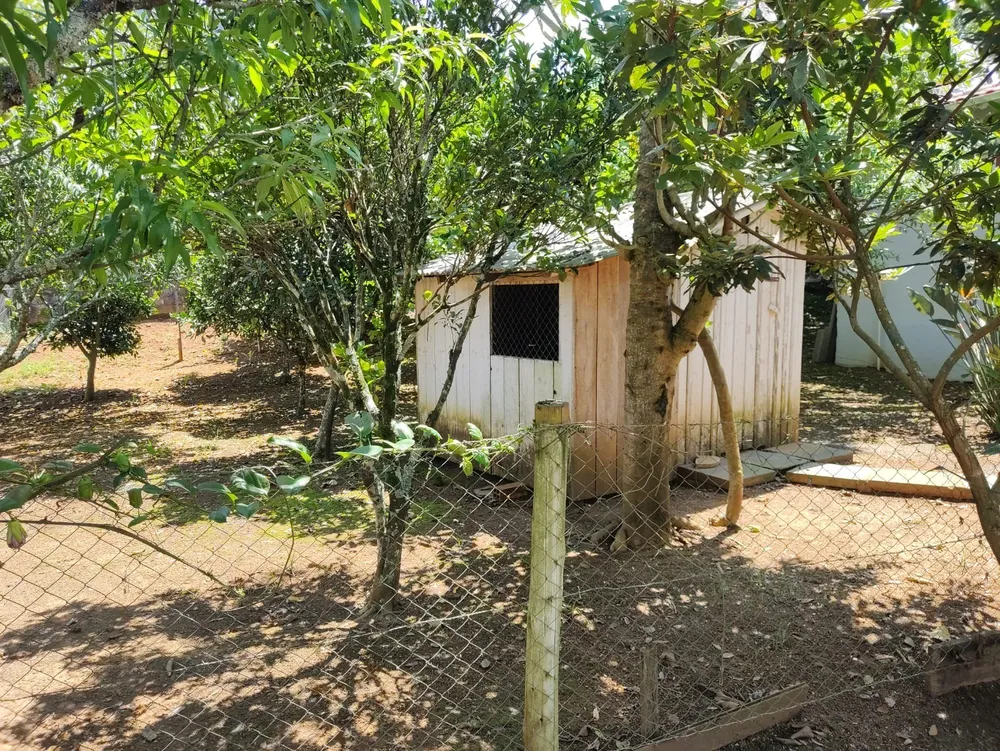 Casa, 4 quartos, 330 m² - Foto 5