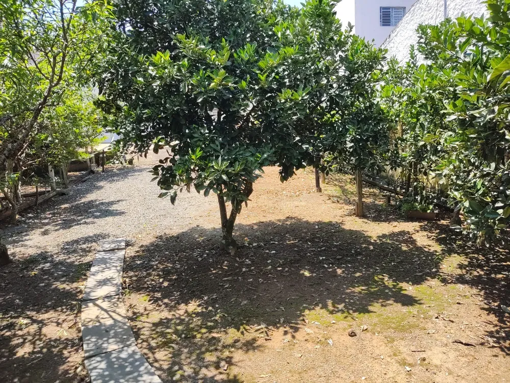 Casa, 4 quartos, 330 m² - Foto 8