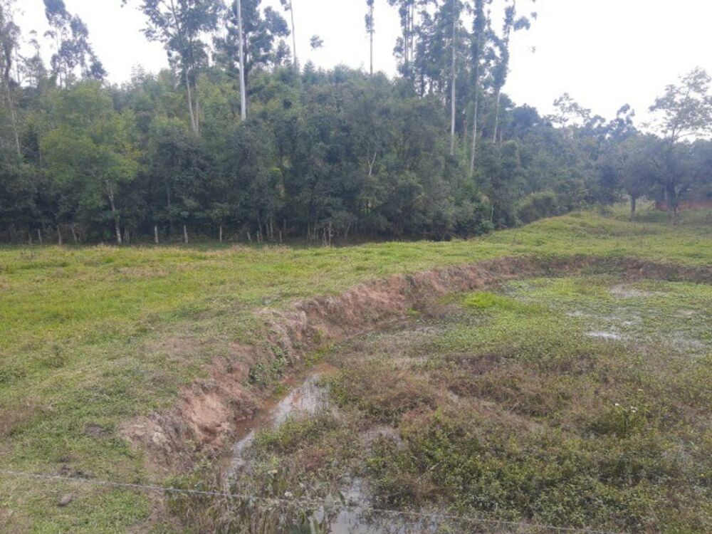 Imóvel Comercial, 4000 m² - Foto 4