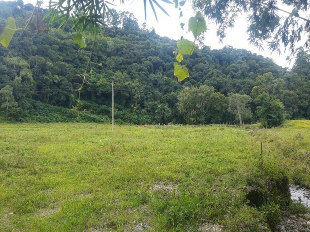 Imóvel Comercial, 4000 m² - Foto 13