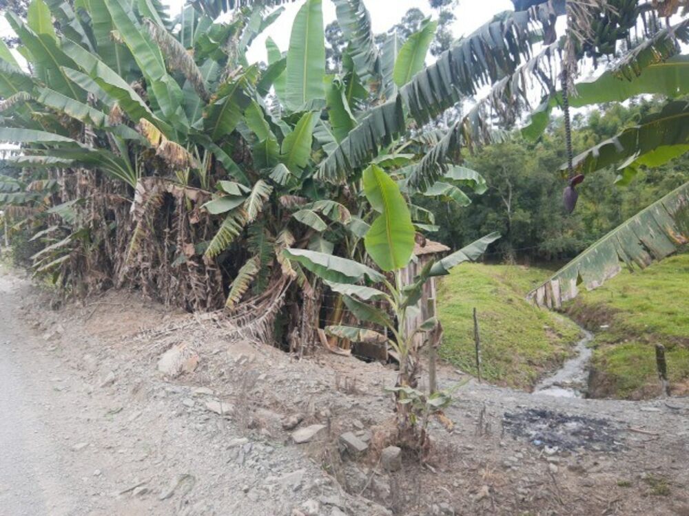 Imóvel Comercial, 4000 m² - Foto 8