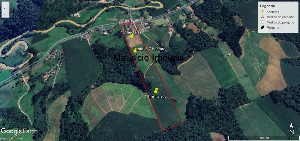 Sítio, 4 quartos, 6 hectares - Foto 8