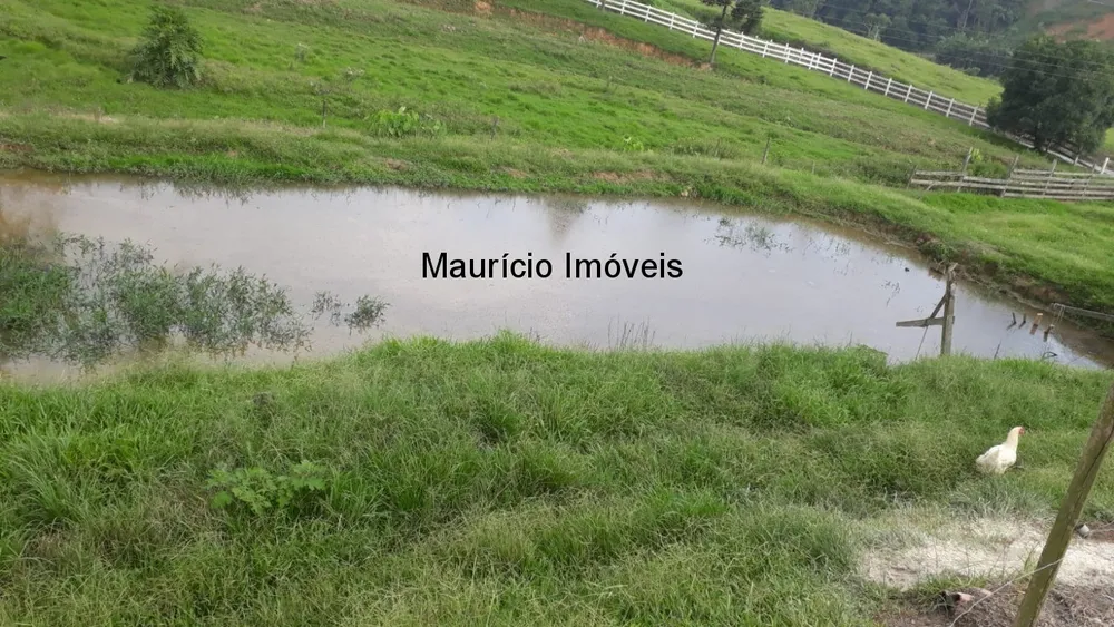 Sítio, 4 quartos, 6 hectares - Foto 6