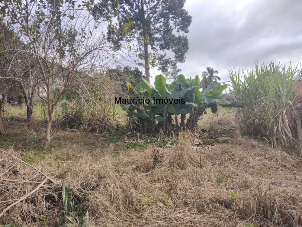 Terreno, 3504 m² - Foto 2