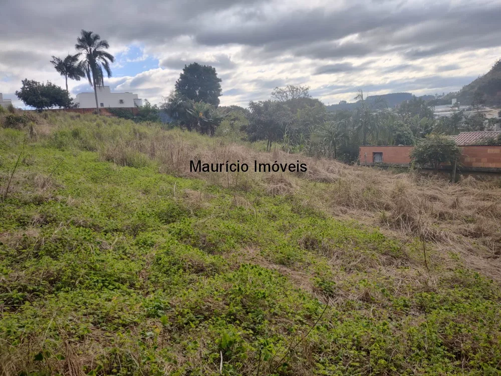 Terreno, 3504 m² - Foto 3