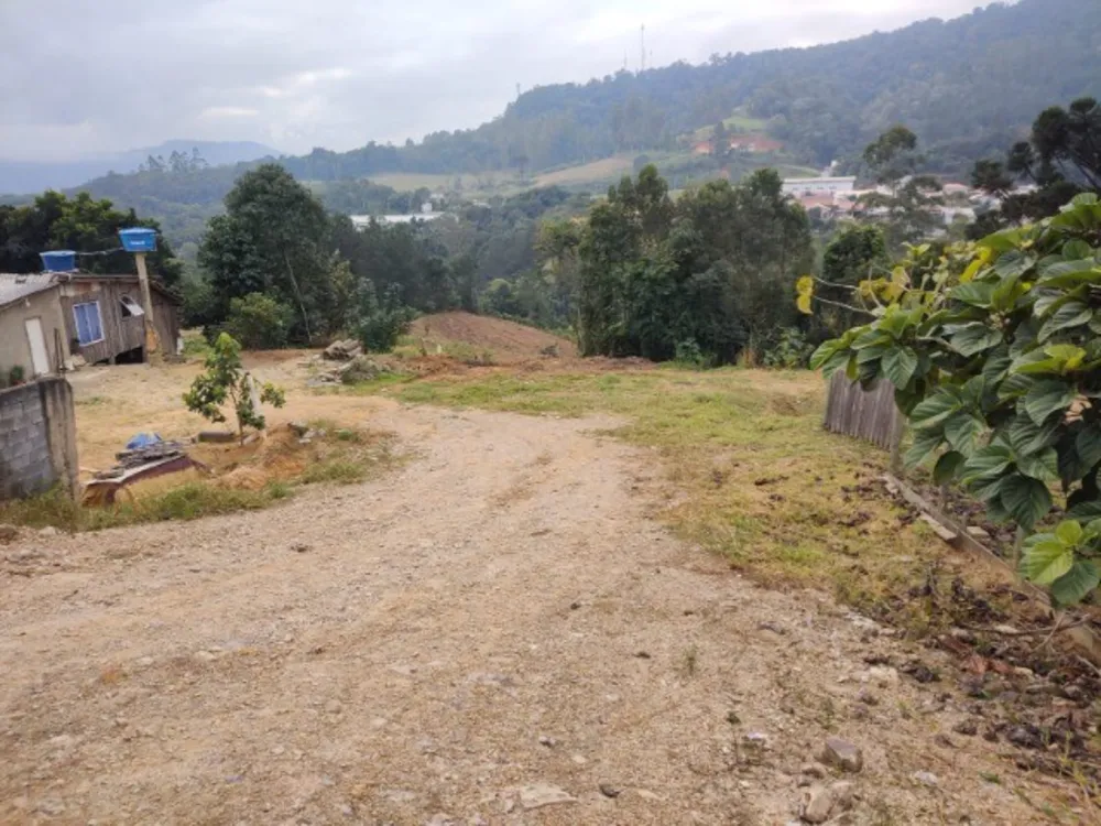 Terreno, 3100 m² - Foto 7