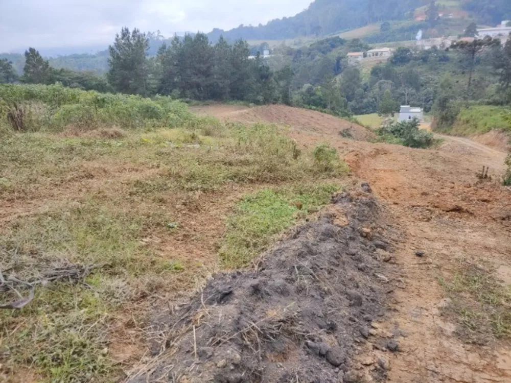Terreno, 4100 m² - Foto 1