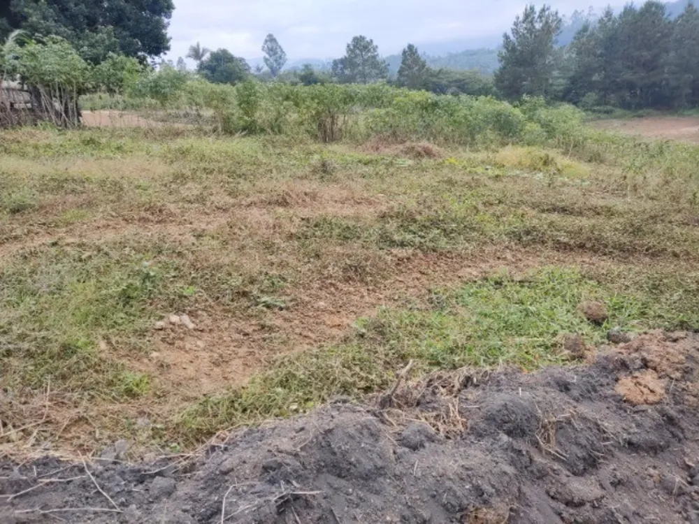 Terreno, 3100 m² - Foto 6
