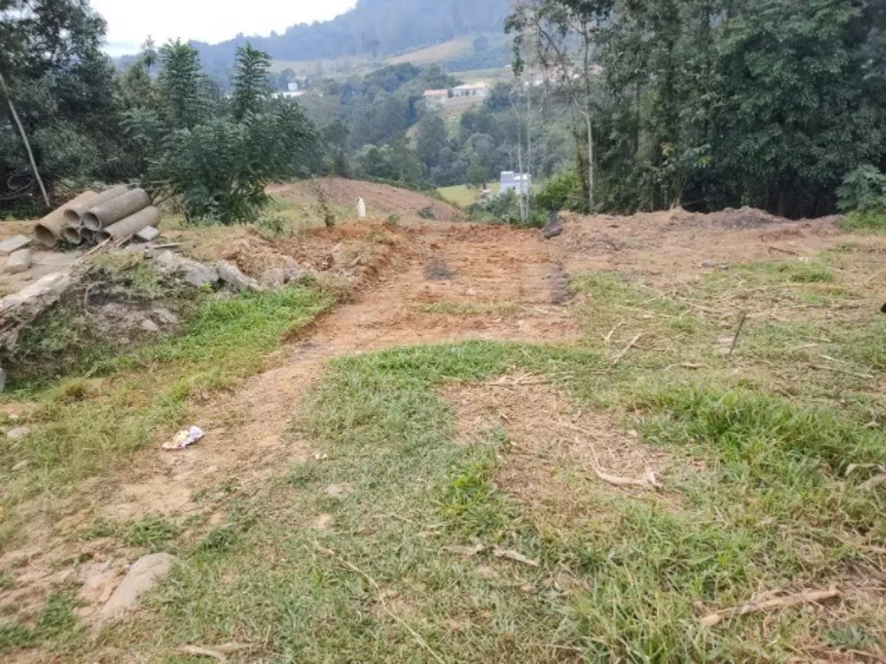 Terreno, 4100 m² - Foto 4