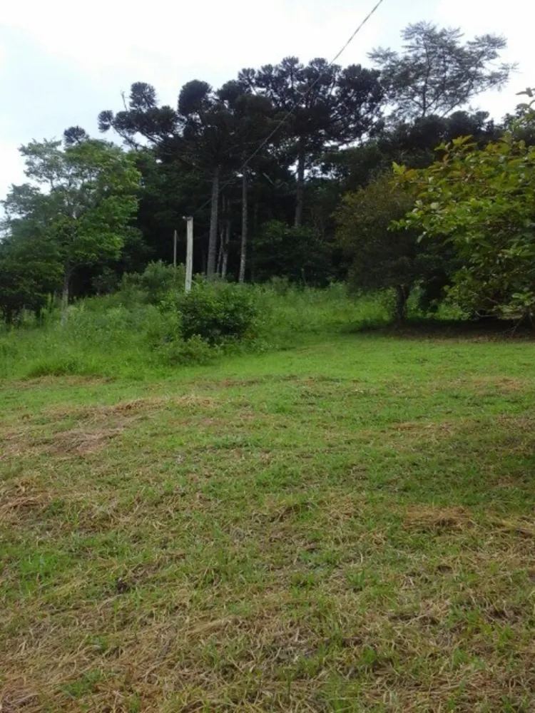 Sítio, 3 quartos, 2 m² - Foto 2