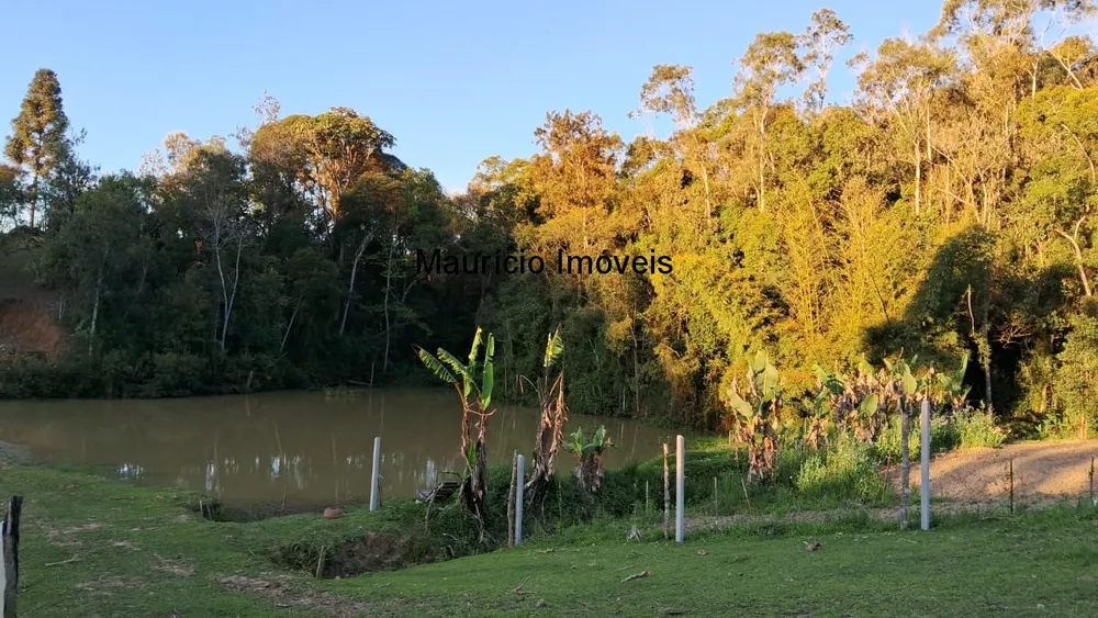 Sítio, 3 quartos, 3 hectares - Foto 4