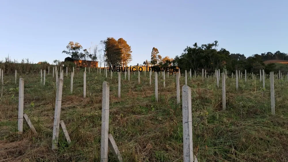 Sítio, 3 quartos, 3 hectares - Foto 8
