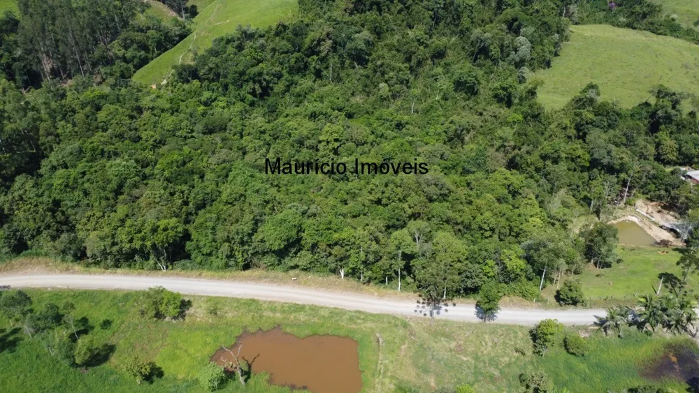 Terreno, 2 hectares - Foto 7