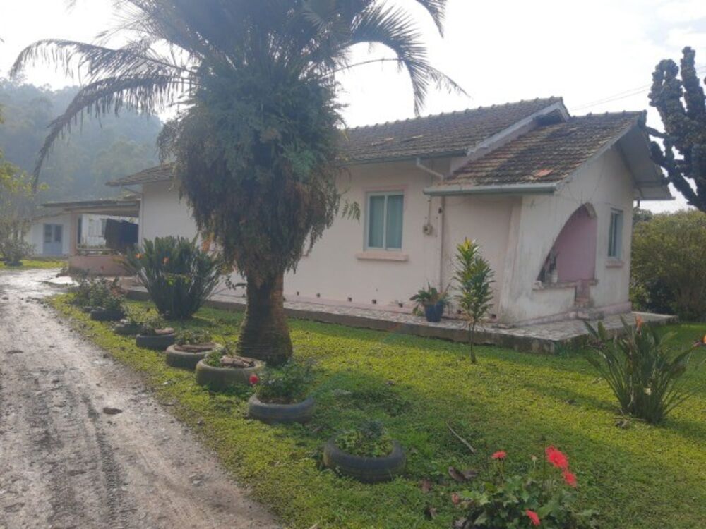 Sítio à venda com 4 quartos, 45m² - Foto 1