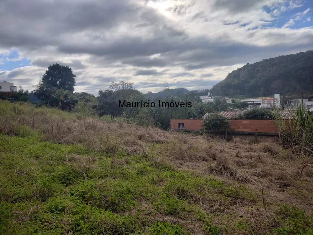 Casa, 6 quartos, 3504 m² - Foto 4