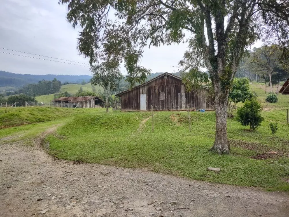 Sítio, 3 quartos, 2 hectares - Foto 1