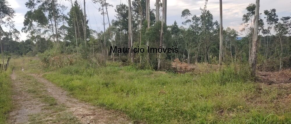 Sítio à venda com 1 quarto, 13m² - Foto 15