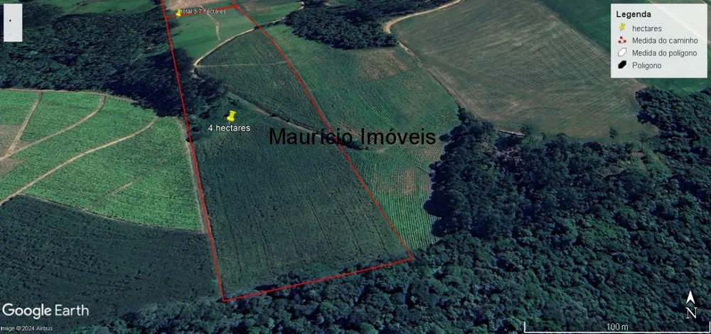 Terreno, 4 hectares - Foto 1