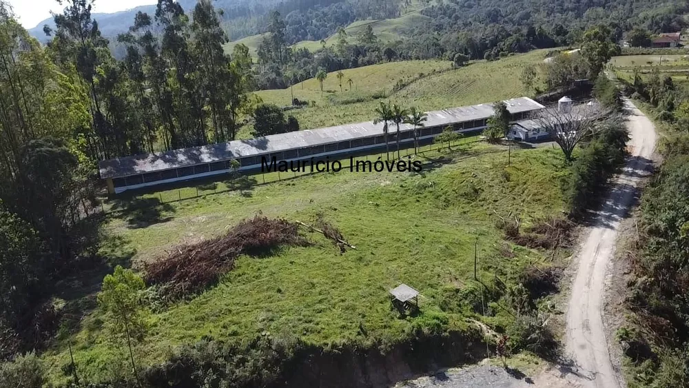 Sítio, 4 quartos, 3 hectares - Foto 1