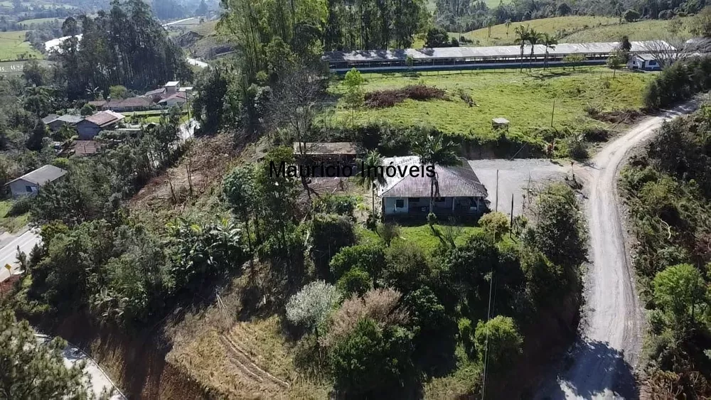 Sítio, 4 quartos, 3 hectares - Foto 4