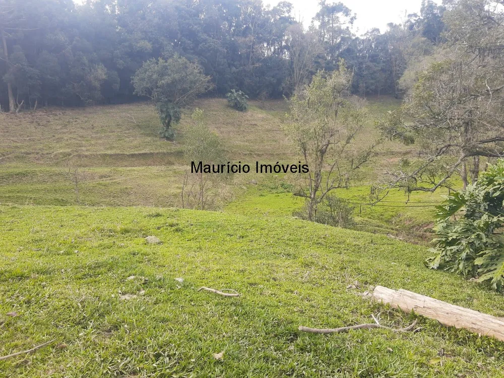 Sítio, 4 quartos, 20 m² - Foto 4