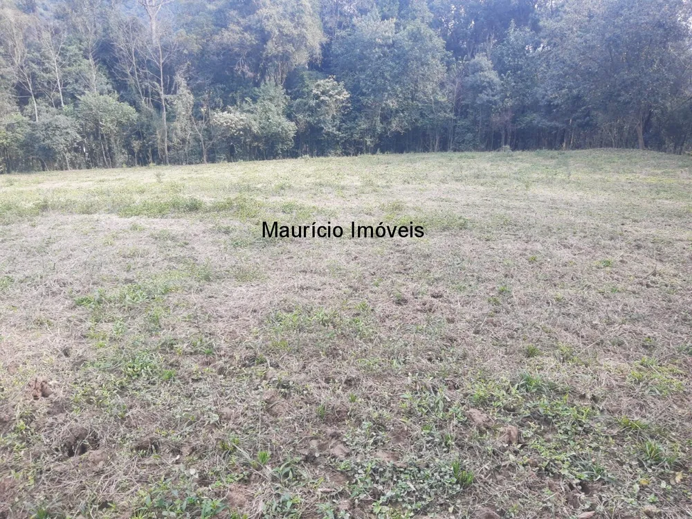 Sítio, 4 quartos, 20 m² - Foto 5