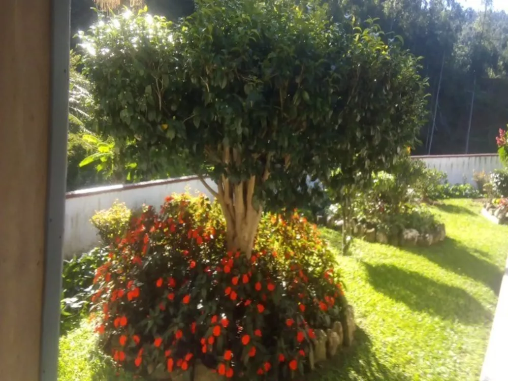 Sítio, 3 quartos, 14 m² - Foto 14