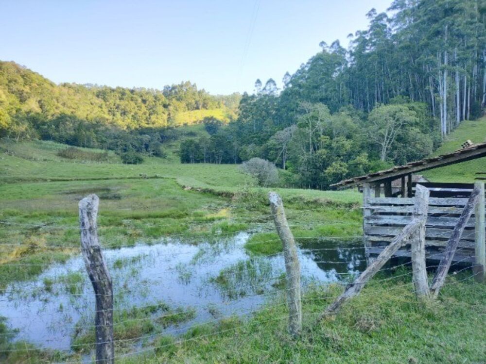 Sítio à venda com 3 quartos, 14m² - Foto 9