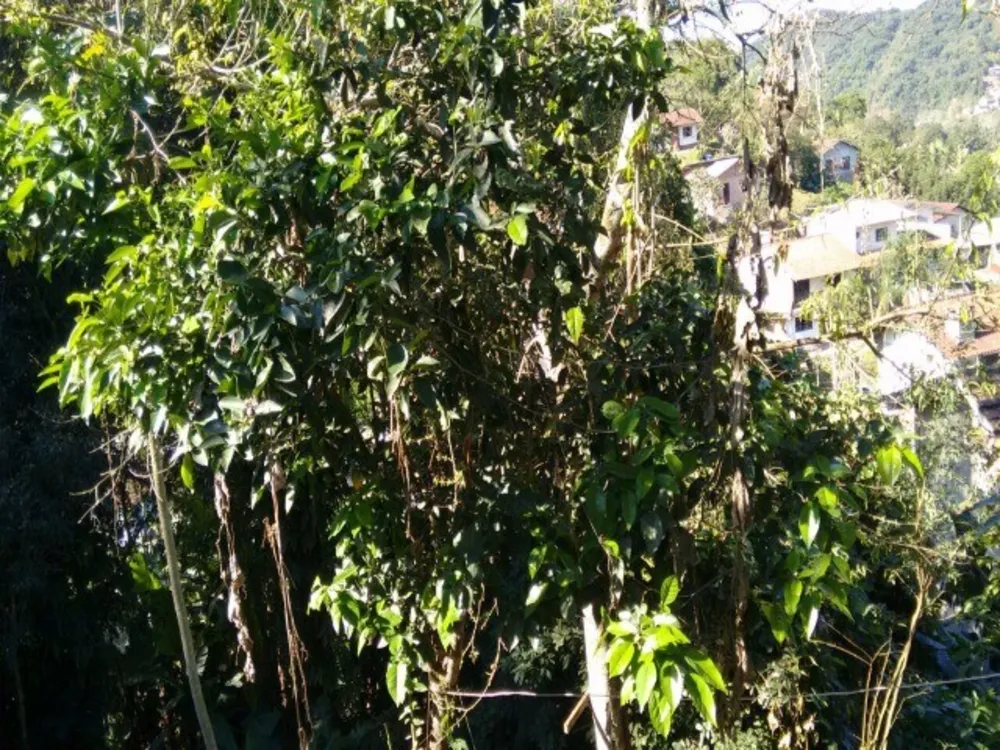 Casa, 3 quartos, 130 m² - Foto 4
