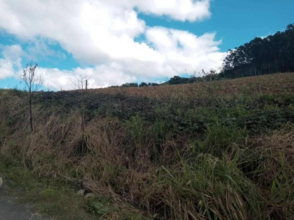 Sítio, 3 quartos, 45 m² - Foto 4