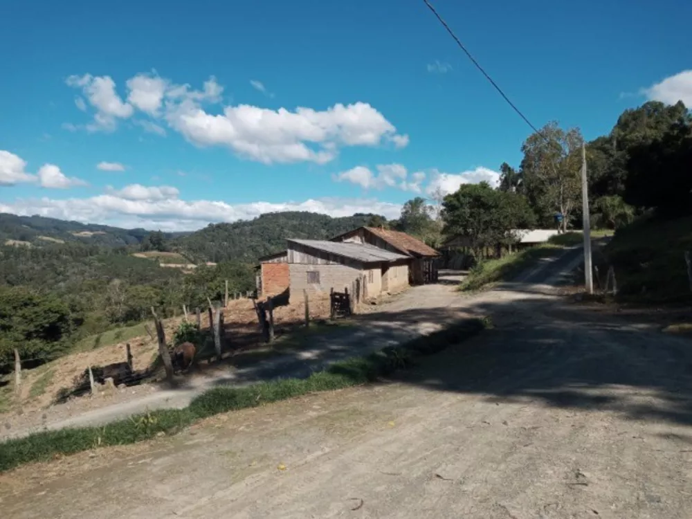 Sítio, 3 quartos, 45 m² - Foto 1